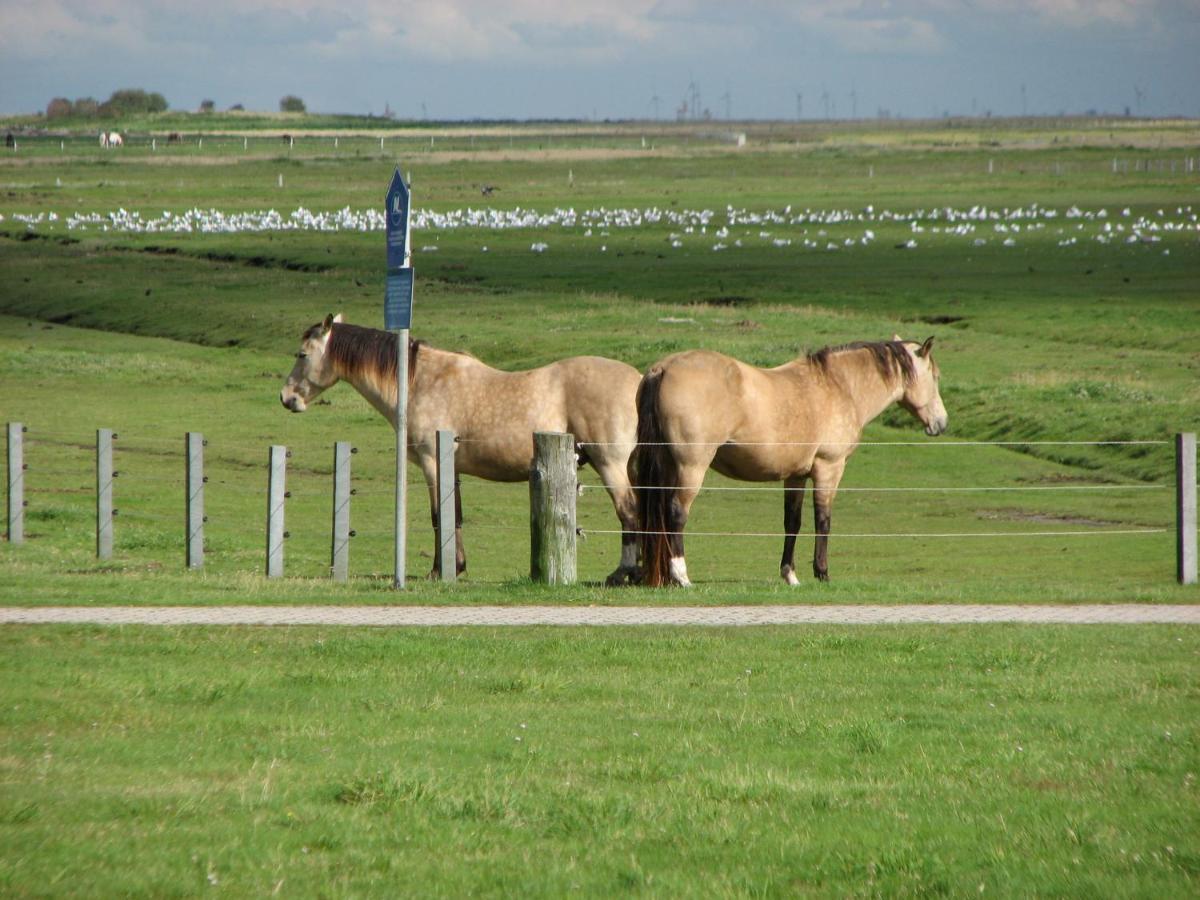Seevilla Wietjes Whg 5 Baltrum Exteriér fotografie